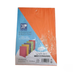 chemise multicouleurs 32*42 cm 100 feuilles
